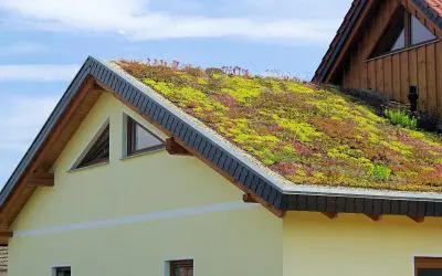 Eco-Friendly Home Improvements: A Guide to a Greener Home