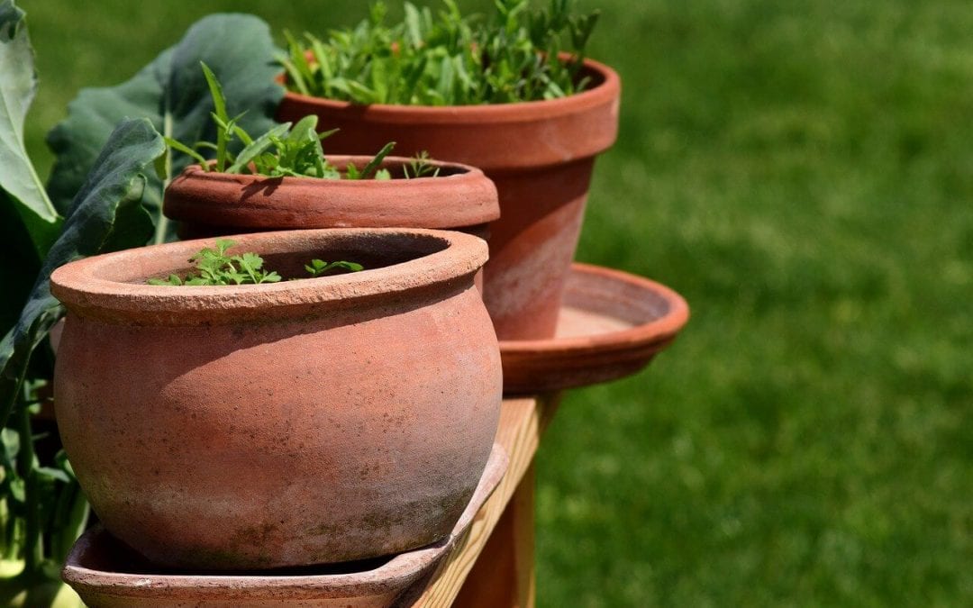 projects you can DIY include creating an herb garden